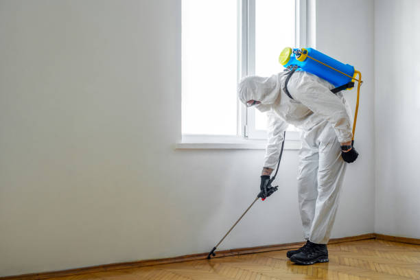 Best Mosquito Control Services  in Roseburg Nth, OR